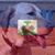 Trish Wootten's profile image