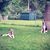 Donna Whiteman's profile image