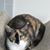 Nancy F. Neighbors's profile image