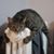 Michelle Dennis's profile image