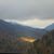 Dalphine Cotney's profile image