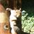 Patricia McCandless's profile image