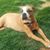 Betty Jenkins Hess's profile image