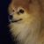 Ron Fish's profile image