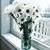 Jacquie Knapp Alford's profile image