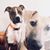 Michelle Ayres's profile image