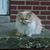 Donna Varcoe's profile image