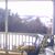 Sharon McCoy Williamson's profile image