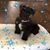 Marci Grundy's profile image