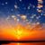 Aileen Eckert's profile image