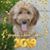 Julie A. Williams's profile image