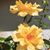 Vicki Enderby's profile image