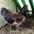 Sandra Angell's profile image