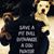 Maria Goldie's profile image