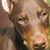 Tammy McLaughlin's profile image