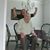 Gail Morrison Hollabaugh's profile image