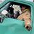 Carie D Holbrook's profile image