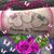 Margaret Fish Shellenberger's profile image