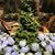 Linda Bilak's profile image