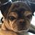 Lisa Edling Wert's profile image