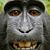 Bobby Kinstle's profile image