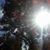 Mikey Potocki's profile image