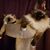 Holly Price's profile image