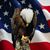 Mark N Kristen Ruder's profile image