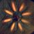 Maggie Begley's profile image