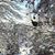 Cat Wood's profile image