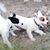 Sue Woodard's profile image