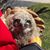 Bruce Simak's profile image