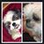 Pamela Taylor Zeigler's profile image