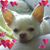 Marie Angeludis's profile image