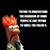 Debbie Krueger's profile image