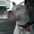 Melanie Mayflower's profile image