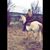 Ashley Michelle Mosley's profile image