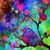 Susan Swan Mahlmeister's profile image
