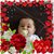Isabelle Wimmer's profile image