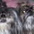 Wanda Smith-Mcbride's profile image