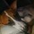 Christy Breedlove's profile image