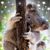 Agnes Brousseau's profile image