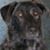 Ilene Ulm's profile image