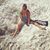 Wendy Pennington's profile image