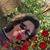 Ann Belle's profile image