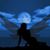 Silvia Gonzalez Larios's profile image