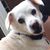 Lori Smith Cox's profile image