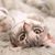 Melissa Smith Drury's profile image