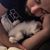 Mark Solomon's profile image