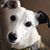 Susan Cramer Stein's profile image